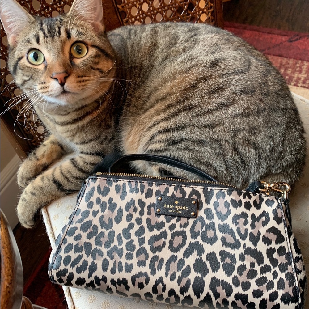 Kate Spade leopard clutch